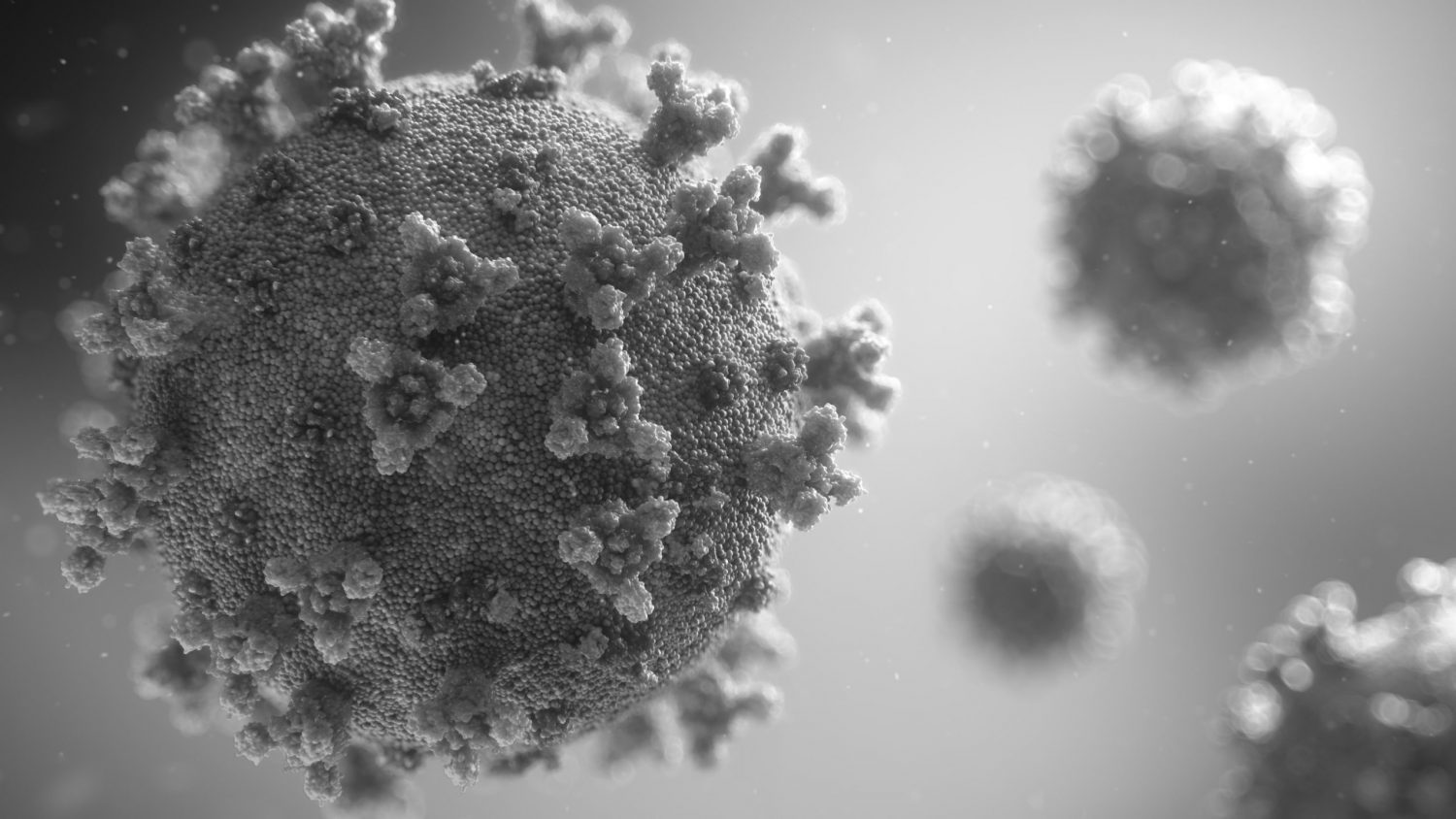 coronavirus image